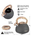 Poliviar 2.7 Quart Stainless Steel Tea Kettle