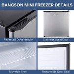 BANGSON 1.1 Cu.ft Compact Upright Freezer - Silver
