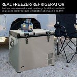 Whynter 90 Quart Dual Zone Portable Fridge