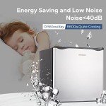 BANGSON 1.1 Cu.ft Compact Upright Freezer - Silver