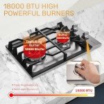 TOPWISH 2-Burner Stainless Steel Gas Cooktop