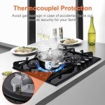 24-Inch Eascookchef Gas Stove Top with 4 Burners