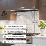 FIREGAS 30" Range Hood Insert with Gesture Control