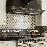 FIREGAS 30" Range Hood Insert with Gesture Control