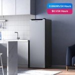 BANGSON 7.0 Cu.ft Convertible Upright Freezer