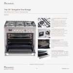 Rang Aire 36" Gas Range with Convection Oven