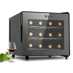 12-Bottle Dual-Chip Mini Wine Cooler Fridge