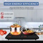 Cuisunyo 1800W Double Induction Cooktop Burner