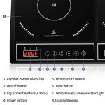 Cuisunyo 1800W Double Induction Cooktop Burner