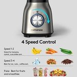 Anthter 220V 1000W Stainless Steel Blender 50oz