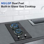 Karinear 2 Burner Gas Cooktop for Home & RV