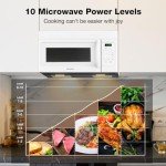 Thermomate 30" Over-the-Range Microwave Oven