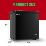 DEMULLER 5.0 Cu. Ft. Chest Freezer with Baskets