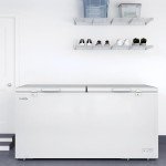 KoolMore 30 Cu. Ft. Commercial Two-Door Freezer