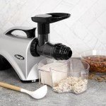Omega NC800HDS Cold Press Juice Extractor Machine