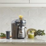 Cuisinart Compact Blender and Juicer Combo