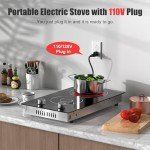12-Inch 2-Burner Electric Cooktop with Knob Control