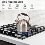 Stainless Steel Whistling Stovetop Tea Kettle 3.0Q