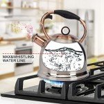 Stainless Steel Whistling Stovetop Tea Kettle 3.0Q