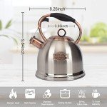 Stainless Steel Whistling Stovetop Tea Kettle 3.0Q