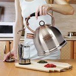 Stainless Steel Whistling Stovetop Tea Kettle 3.0Q
