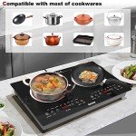 Karinear 2 Burner Electric Cooktop, 24 Inch