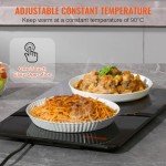VEVOR Electric Food Warming Tray - 16.5" x 11