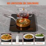 VEVOR Electric Food Warming Tray - 16.5" x 11