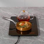 VEVOR Electric Food Warming Tray - 16.5" x 11