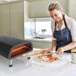 Newair 12" Electric Pizza Oven for Home Use