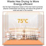 Compact Countertop Dishwasher with 3 Washing Programs