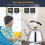 Stainless Steel Whistling Tea Kettle, 2 Liters