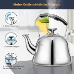 Stainless Steel Whistling Tea Kettle, 2 Liters