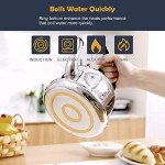 Stainless Steel Whistling Tea Kettle, 2 Liters