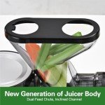 Compact Cold Press Juicer for Fruits and Vegetables