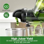 Compact Cold Press Juicer for Fruits and Vegetables
