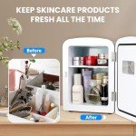 HealSmart 4L Mini Fridge Cooler & Warmer