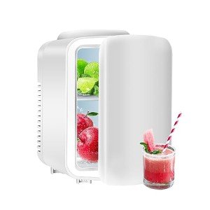 Portable Mini Fridge – 4L Cooler and Warmer