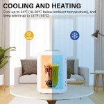 Portable Mini Fridge – 4L Cooler and Warmer