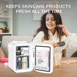 Portable Mini Fridge – 4L Cooler and Warmer