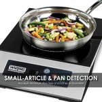 Waring Commercial Light Duty Induction Range