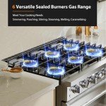 Empava 36" Gas Range with True Convection Oven
