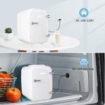 YASHE 4L Mini Fridge for Skincare and Drinks