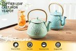 Light Green Cast Iron Japanese Teapot with Infuser