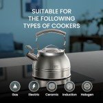 Stainless Steel Whistling Tea Kettle - 2.3 Quart