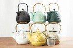 Light Green Cast Iron Japanese Teapot with Infuser