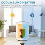 Portable 4L Mini Cooler & Warmer, Black