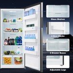21 cu. ft Upright Freezer with Stainless Steel Finish