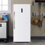Kenmore 21 Cu. Ft. Convertible Freezer/Refrigerator