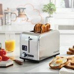 Compact 2-Slice Stainless Steel Digital Toaster